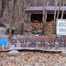 국망봉자연휴양림캠핑장 이미지