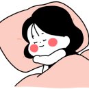 363카페 네이버블로그