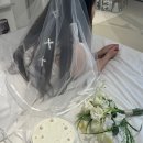 스튜디오노네임 사랑입니다 사진 찍느라 3시간이 훌쩍 지나갔어요.. 없는 게 없는 진해 브라이덜 샤워