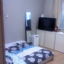 디아뜨 1 Daum카페