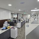 디오나비풀아치임플란트 강남엔터치과의원에서 아프지 않게 시술하고 왔어요