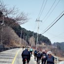 샤방 샤방 네이버블로그