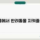 강릉동물병원