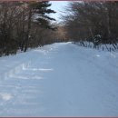 [1월 22일(토요일)]한라산(영실-윗새오름-돈내코) 이미지