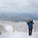 이상을향해 이미지