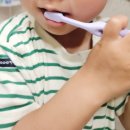 (주)퍼스카 네이버블로그