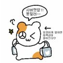 프라다 나플락 페이턴트 가죽 발레리나 구매후기 I 소비기록+착샷, 메리제인 추천