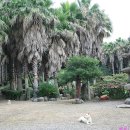 호근동-7 이미지