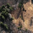 개금농장 이미지