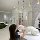 제이 golf Academy 프렌즈 스크린 북삼 | 학동 논현 '제이앤드제이 골프 아카데미'에서 마프로와 카카오 VX 스크린 골프 후기