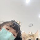 캣플헤븐 천안불당점 이미지