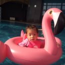 휘닉스명진 이미지