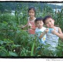 민제농장 이미지