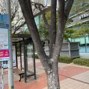 센텀리슈빌아파트 1단지 앞 이미지