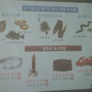 영덕 수산물 전복 이미지