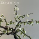 보태니카