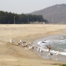 풍경스케치 이미지