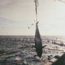 (주)아름푸드 이미지