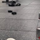 크로스핏 스네일 이미지