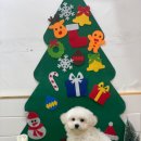 복탄산수 이미지