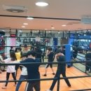 MM Gym 이미지