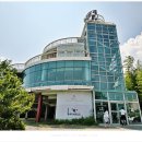 코우코알라 이미지