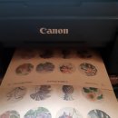 꽃그림 보타니컬아트 이미지