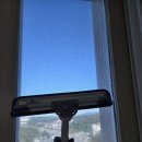 테일웨거 이미지