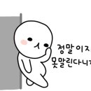 디피오리(di fiori)