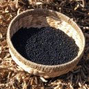 정주네농장 이미지