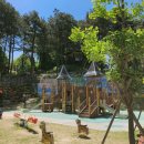 배재대학교부속유치원 이미지