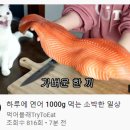 군침 이미지