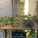 이위술 | [숲세권라이브] 위수, 손효진 | 나를 살린 여성의 목소리 공연 대만족 후기