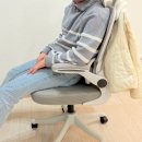 히어라이프 유한회사 | 파라이프 컴퓨터의자 허리 지지 해주는 가성비 의자 추천