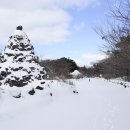 교래자연휴양림야영장 이미지