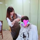 컷트클럽 Daum카페