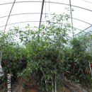 천수식당 이미지