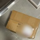 몽디쉬