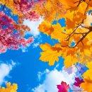 즐거운인생 이미지