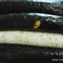 땡초김밥 이미지