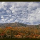 평창이야기 이미지