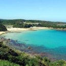 신국제약국 이미지