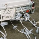 웨딩협찬 노마드웨딩카페에서 헤어메이크업 협찬후기