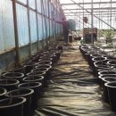 정환3농장 이미지