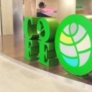 다우킴벌리 이미지