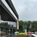 한라산 콘도미니엄 | [제주]엠버퓨어힐 호텔 포레스트가든 독채숙소 숙박 후기-감성+서비스 만족 후기
