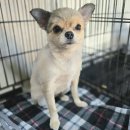 양덕천길 이미지