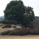 해당화마을 이미지