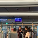 (주)인존 | 칭따오 여행 1일차🇨🇳| 중국 용가훠궈🥢| 12월 칭따오 날씨 |5.4광장 |칭따오 호텔 추천