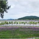 퍼플여행 이미지